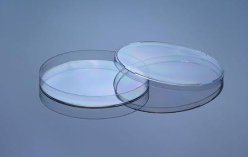 90mm Petri Dish