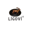LIGOVI LEATHER BELTS