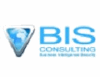 BIS CONSULTING INTERNATIONAL