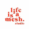 LIFE IS A MESH