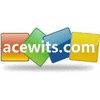 ACEWITS ELECTRONICS LIMITED