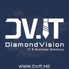 DIAMOND VISION SOFTWARE & WEB SOLUTIONS