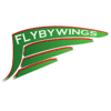 FLY BY WINGS TAXIS