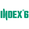 INDEX-6 LTD