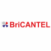 BRICANTEL - COMERCIO DE MATERIAL ELECTRICO DE BRAGANCA, LDA