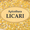 APICOLTURA LICARI