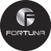 FORTUNA CONSTRUCTION CONTRACTING ENGINEERING