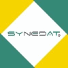 SYNEDAT CONSULTING GMBH