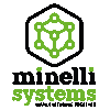 MINELLI SYSTEMS