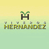 VIVEROS HERNÁNDEZ