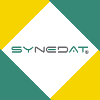 SYNEDAT CONSULTING GMBH