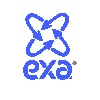EXA LLC