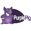 PURPLE PIG