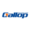 GALLOP TECHNOLOGY CO.,LTD