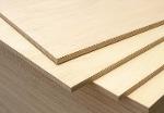 plywood birch and larix