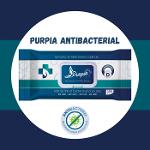 Purpia Antibacterial Wet Wipes