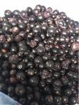 Black currant IQF (Ribes nigrum)