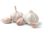 Garlic in the human diet
