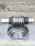 worm shaft and worm gear CNC