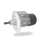 Induction motors for hoists