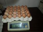 Brown Fresh Shell Chicken Eggs