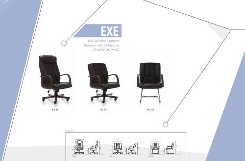 Rapido EXE MANAGER CHAIRS