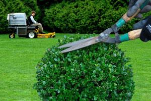 Entretien de votre jardin et espace vert clermont-ferrand