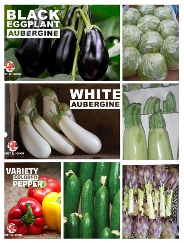Organic Vegetables 