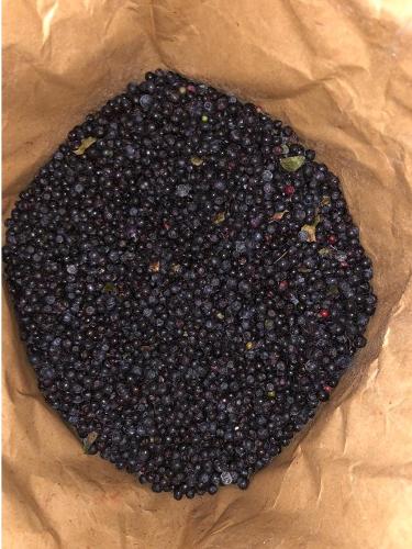IQF Wild Blueberry/Bilberry (Vaccinium Myrtillus)