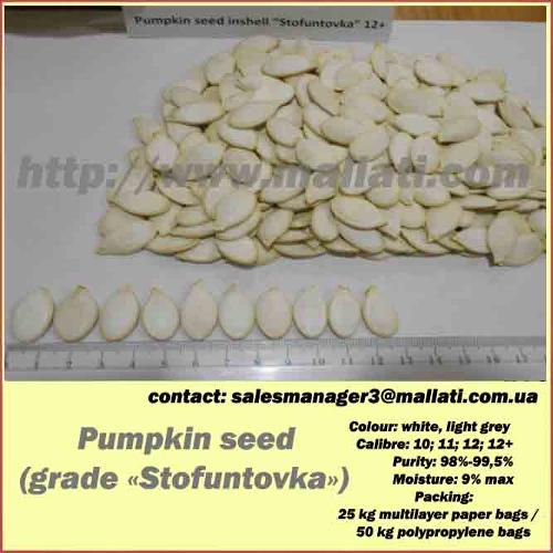  Pumpkin seed   (grade «Stofuntovka») 