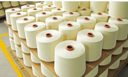 100% Cotton Compact Ring Yarn Producer 